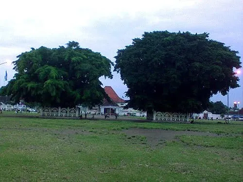 Alun-alun Kidul dan dua beringinnya.