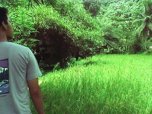 Menyusuri pematang sawah untuk menuju Curug Cikaso.