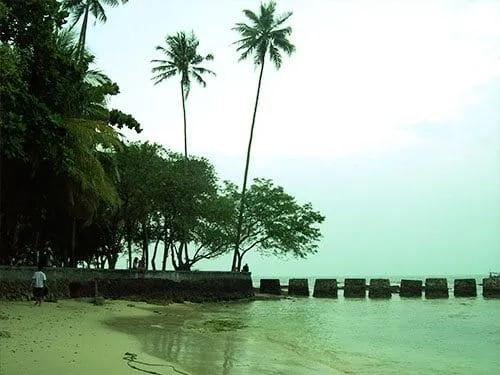 Nyiur melambai.