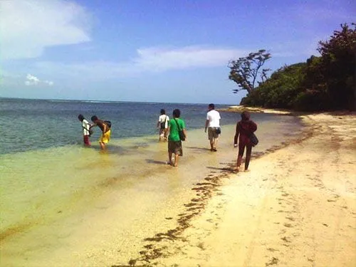 Bagian pantai yang tersusun dari pecahan-pecahan karang.