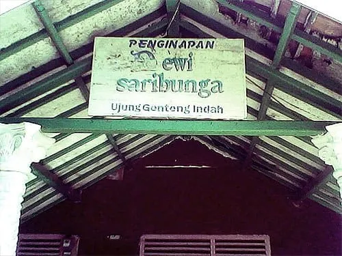 Penginapan Dewi Saribunga.