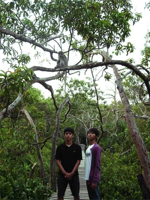Rindangnya pepohonan di Pulau Kembang.