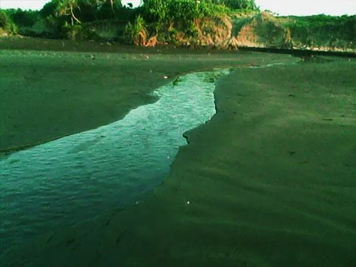 Salah satu cabang dari muara sungai.