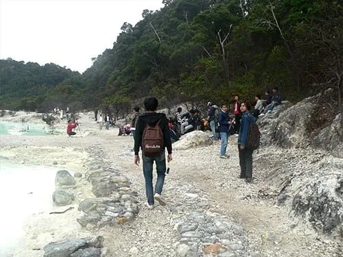 Vegetasi di sekitar Kawah Putih.