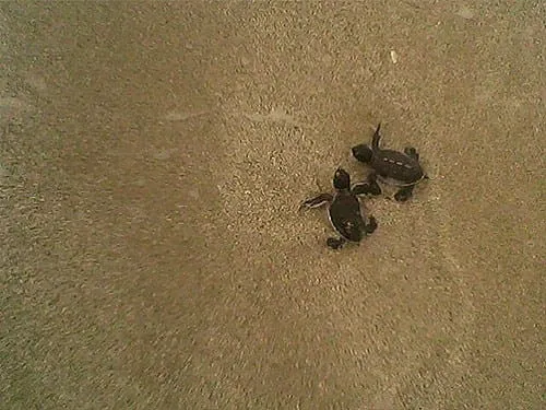 Hold my hand!
