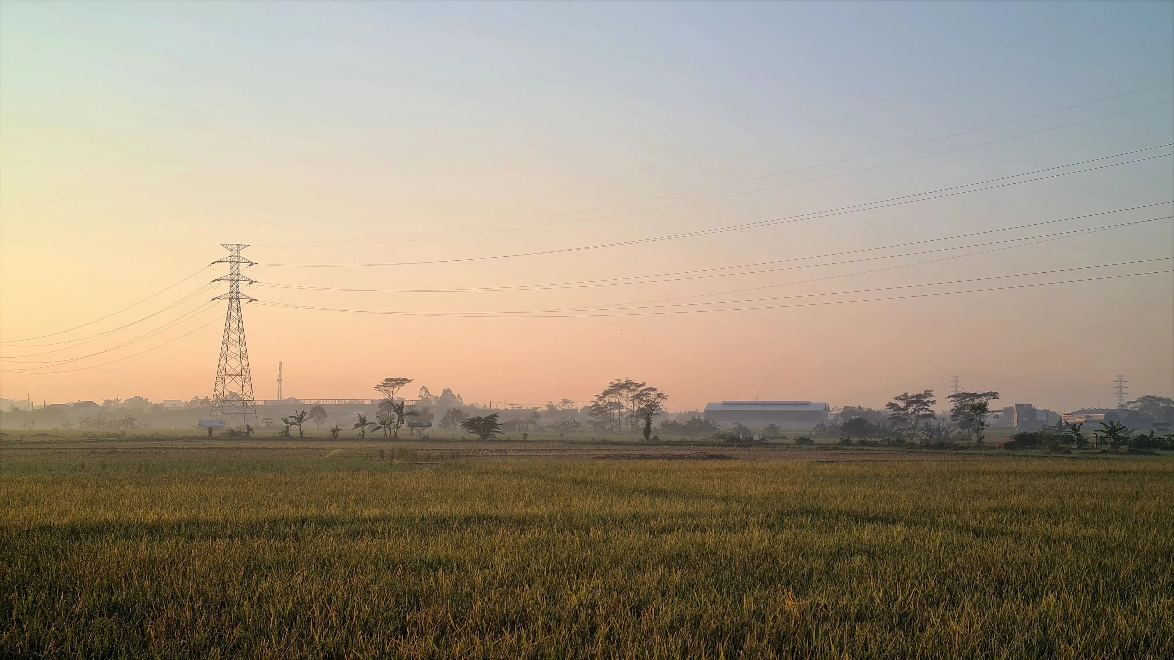 Area pesawahan di Jalan Terusan Nanjung.