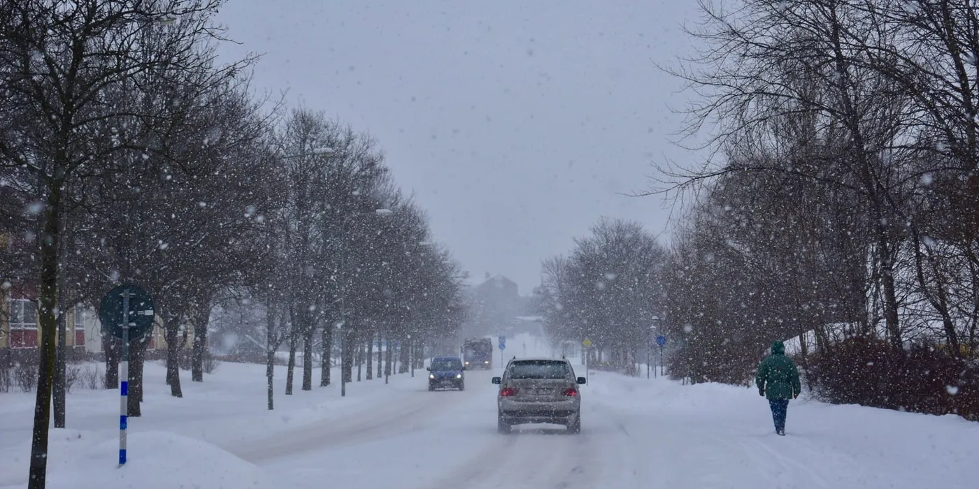 Angin Dingin dari Siberia