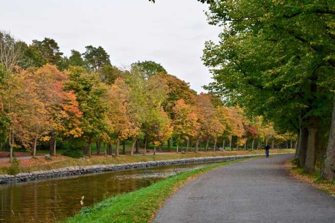 Pohon-pohon yang menguning di sepanjang kanal Djurgårdsbrunn.